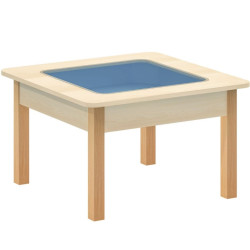 طاولة العلوم - الملاحظة 80*80*49سم طاولة العلوم - الملاحظة 80*80*49سم