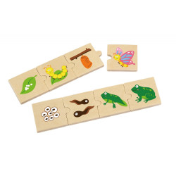 بزل نمو المراحل بزل نمو المراحل