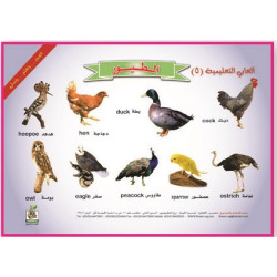 ألعابي التعليمية  " الطيور"، مقاس 33*23 سم  ألعابي التعليمية  " الطيور"، مقاس 33*23 سم