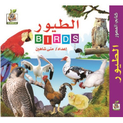 كتابي المصور " الطيور  "، مقاس الكتاب 15*15 سم كتابي المصور " الطيور  "، مقاس الكتاب 15*15 سم