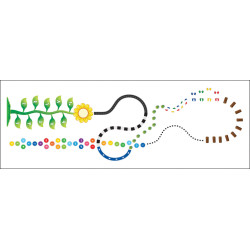 ستيكر ارضي المسارات والطرق ستيكر ارضي المسارات والطرق