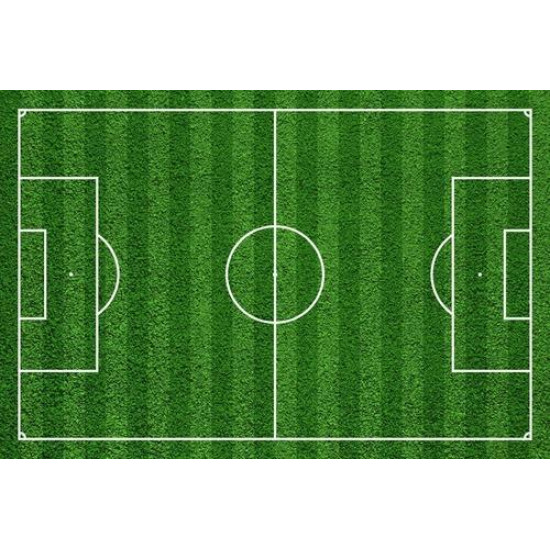 ملاعب كرة قدم لونين عشب صناعي 5 سم مع ربل ورمل سليكا ملاعب كرة قدم لونين عشب صناعي 5 سم مع ربل ورمل سليكا