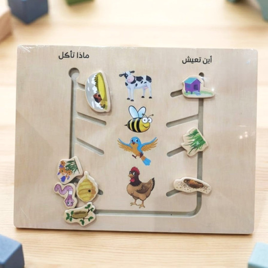 بازل طعام ومسكن الحيوانات الخشبية