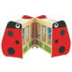 Beetle Book Display Unit Size: 60*60*37cm