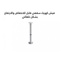 Automatic lowering and rising roof plug Automatic lowering and rising roof plug